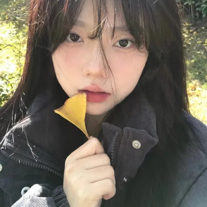 派出所的故事